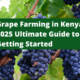 Grape Farming in Kenya: The 2025 Ultimate Guide to Getting Started in This Lucrative Industry