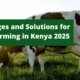 The Hard Truth About Dairy Farming in Kenya: Challenges and Solutions for 2025
