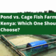 Pond vs. Cage Fish Farming in Kenya: Which One Should You Choose?