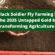 Black Soldier Fly Farming in Kenya 2025: The Untapped Gold Mine Transforming Agriculture