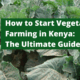How to Start Vegetable Farming in Kenya: The Ultimate Guide 2025