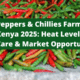 Peppers & Chillies Farming in Kenya 2025: Heat Levels, Care & Market Opportunities