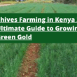 Chives Farming in Kenya: 2025 Ultimate Guide to Growing Green Gold