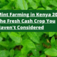 Mint Farming in Kenya 2025: The Fresh Cash Crop You Haven't Considered
