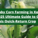 Baby Corn Farming in Kenya: 2025 Ultimate Guide to Growing This Quick-Return Crop