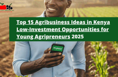 Top 15 Agribusiness Ideas in Kenya 2025: Low-Investment Opportunities for Young Entrepreneurs