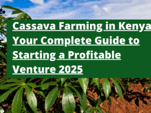 Cassava Farming in Kenya: Your Complete Guide to Starting a Profitable Venture 2025