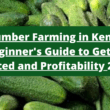 Cucumber Farming in Kenya: A Beginner's Guide to Getting Started, Profitability, and Sustainable Methods