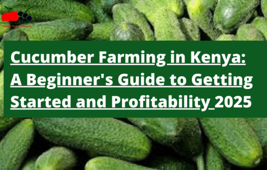 Cucumber Farming in Kenya: A Beginner's Guide to Getting Started, Profitability, and Sustainable Methods
