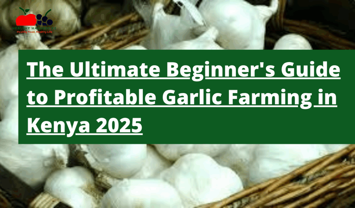 From Clove to Cash: The Ultimate Beginner's Guide to Profitable Garlic Farming in Kenya 2025