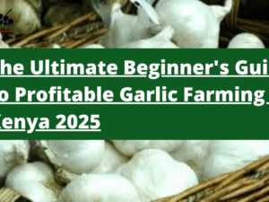 From Clove to Cash: The Ultimate Beginner's Guide to Profitable Garlic Farming in Kenya 2025