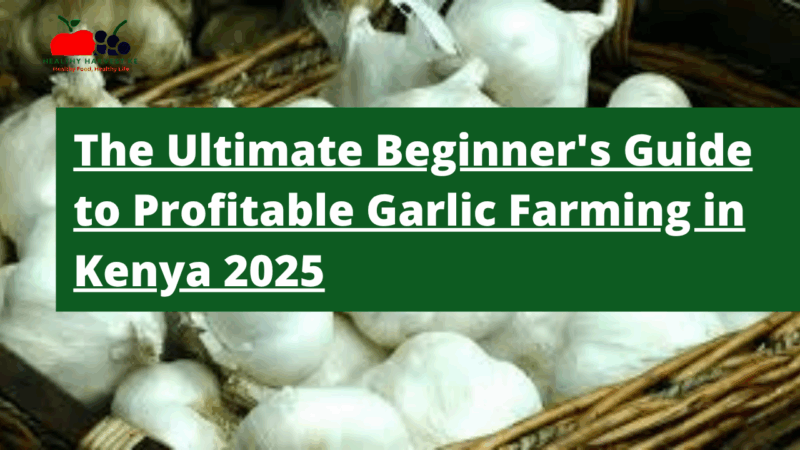 From Clove to Cash: The Ultimate Beginner's Guide to Profitable Garlic Farming in Kenya 2025