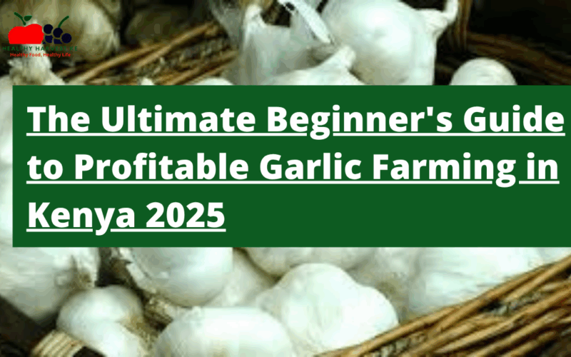 From Clove to Cash: The Ultimate Beginner's Guide to Profitable Garlic Farming in Kenya 2025