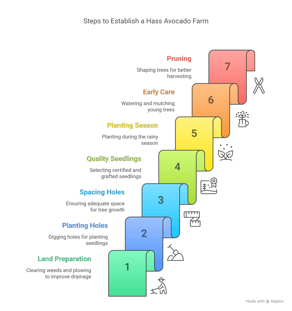 Getting Started_ Setting Up Your Hass Avocado Farm - visual selection