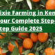 Pixie Farming in Kenya: Your Complete Step-by-Step Guide 2025