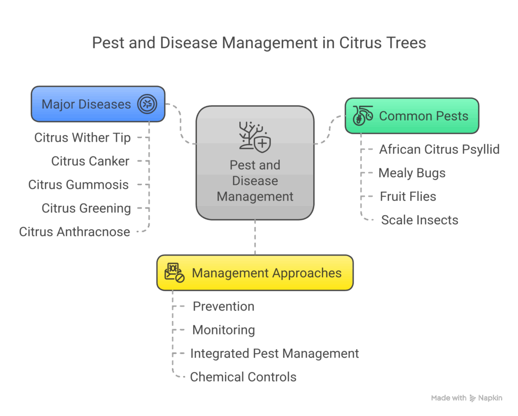 Step 8_ Pest and Disease Management - visual selection