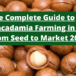 The Complete Guide to Macadamia Farming in Kenya: From Seed to Market 2025