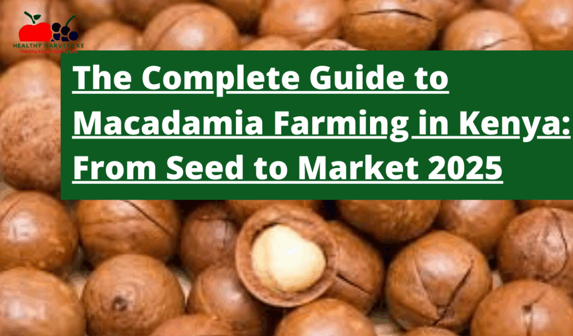 The Complete Guide to Macadamia Farming in Kenya: From Seed to Market 2025