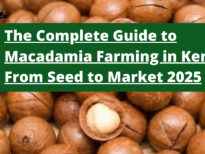 The Complete Guide to Macadamia Farming in Kenya: From Seed to Market 2025
