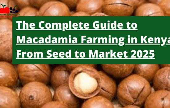 The Complete Guide to Macadamia Farming in Kenya: From Seed to Market 2025