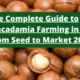 The Complete Guide to Macadamia Farming in Kenya: From Seed to Market 2025