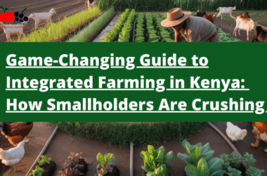 The Game-Changing Guide to Integrated Farming in Kenya: How Smallholders Are Crushing It