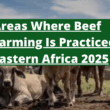 The Untapped Gold Mine: Areas Where Beef Farming Is Practiced in Eastern Africa 2025