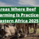 The Untapped Gold Mine: Areas Where Beef Farming Is Practiced in Eastern Africa 2025