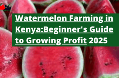 Watermelon Farming in Kenya The Beginner's Guide to Growing Profit