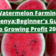 Watermelon Farming in Kenya The Beginner's Guide to Growing Profit