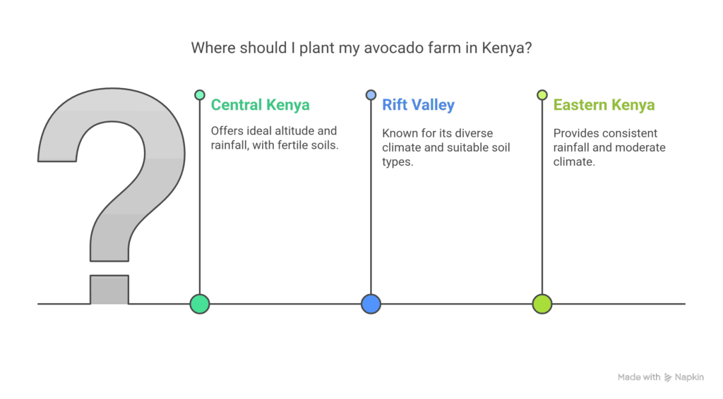 Where to Plant Your Avocado Empire in Kenya - visual selection