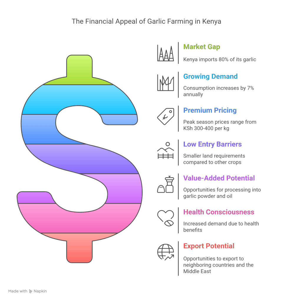 Why Garlic Farming in Kenya Makes Financial Sense - visual selection